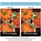 Painted Pumpkin Welcome Decorative Fall Double Sided Flag